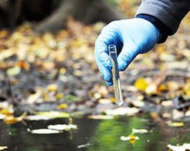 Bacteria and enzymes in septic tanks, wastewater treatment plants, ponds