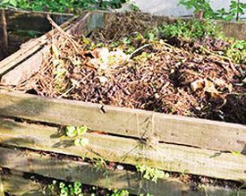 How to compost properly and take a use of a compost accelerator?