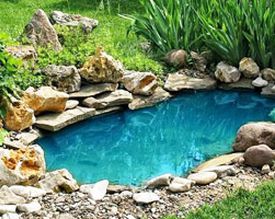 A few tips on how to keep your garden pond clean and clear. Have you heard of bacteria? They work great!!!